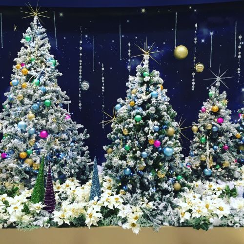 サムラホーム佐村建設クリスマスツリー