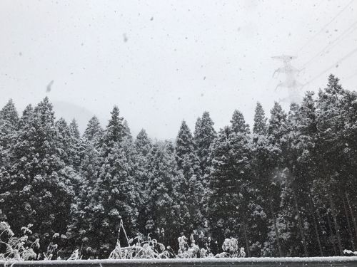 サムラホーム佐村建設岐阜県山県市雪景色冬