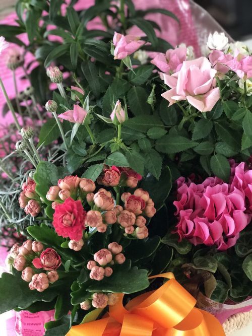 佐村建設サムラホームいただきものお花プレゼント