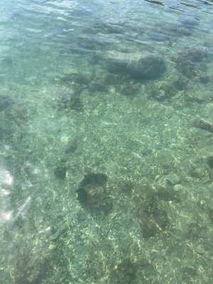 写真 2021-07-23 9 43 08